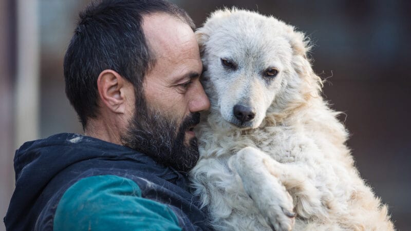 emotionele steunhond voor daklozen